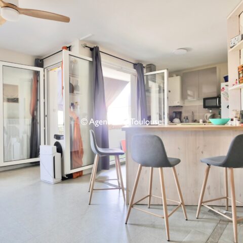 Coeur Croix de Pierre, Appartement T3 avec jardin et parking